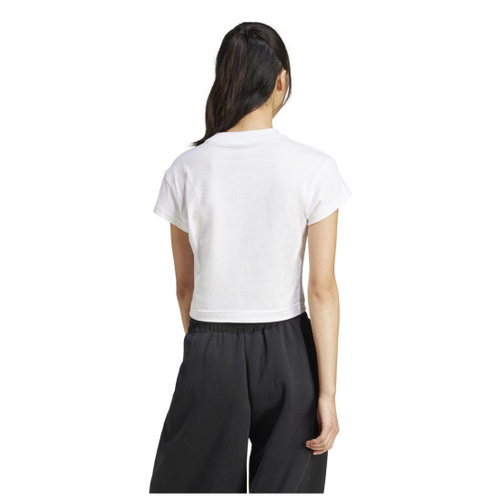 W FI SL BB TEE